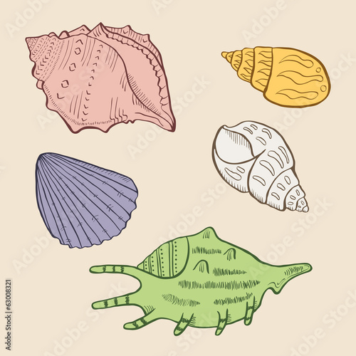 Shell set 