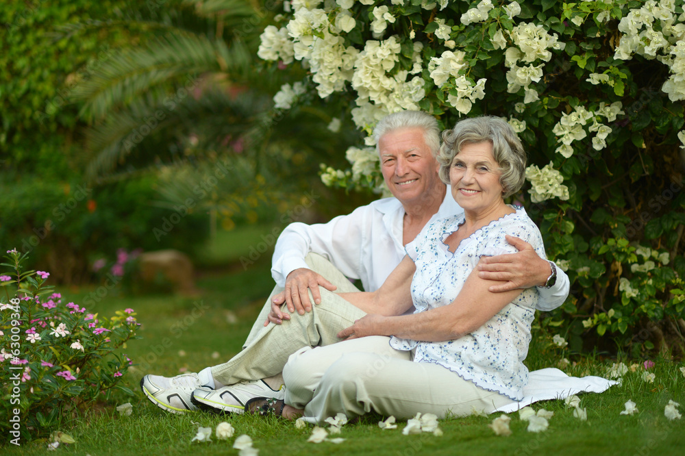 Happy elder couple Happy elder couple