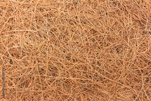 texture, background of brown straw is bird nest