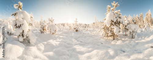 Winter snow-covered wood.