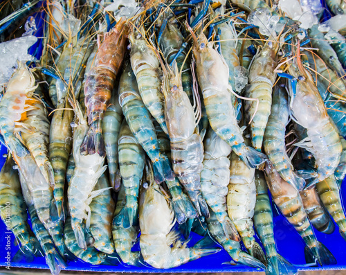 Big Fresh Shrimp in the seafood market