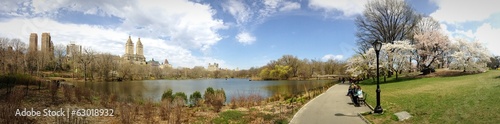Fototapeta Naklejka Na Ścianę i Meble -  Central Park