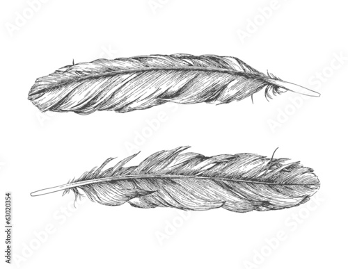 Hand drawn feathers