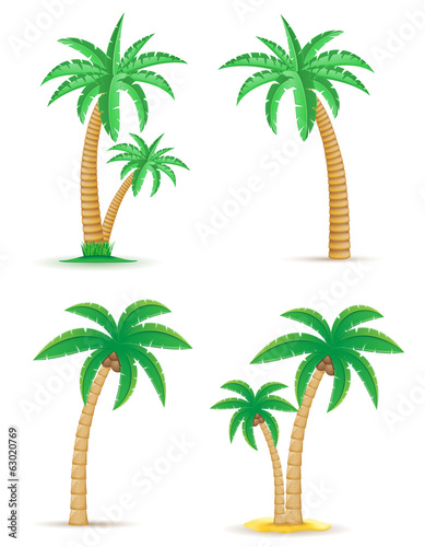 palm tropical tree set icons vector illustration