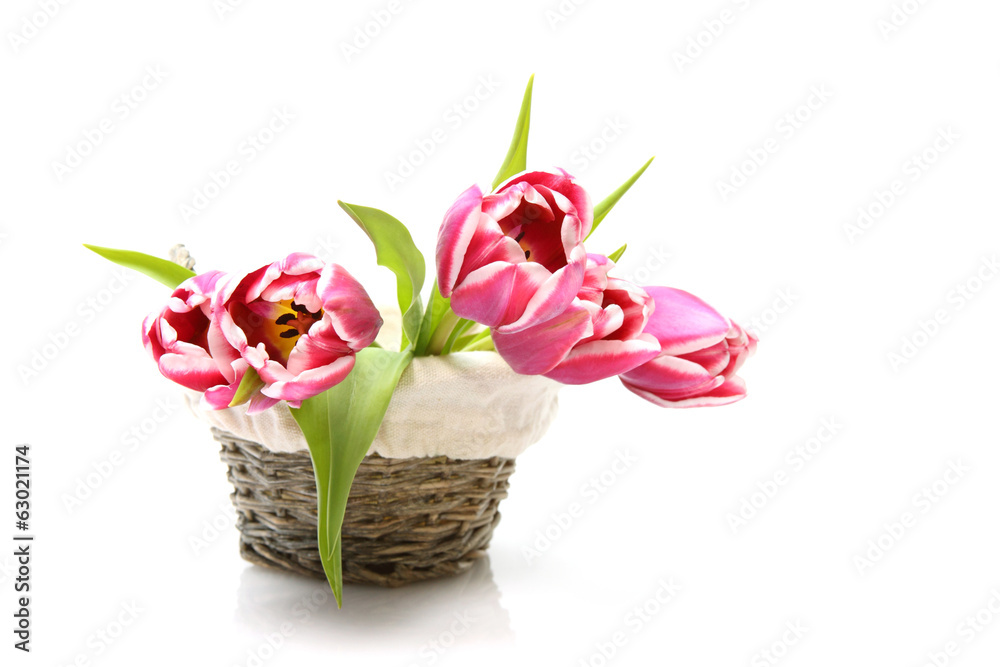 Rosa Tulpen im Korb