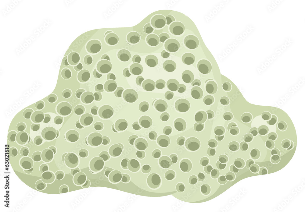 Cartoon sea element - illustration for the children Cartoon sea element - illustration for the children