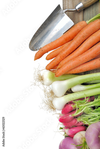 légumes frais