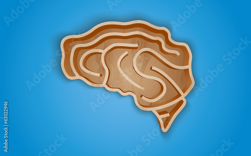 wooden shelf in the form of the brain