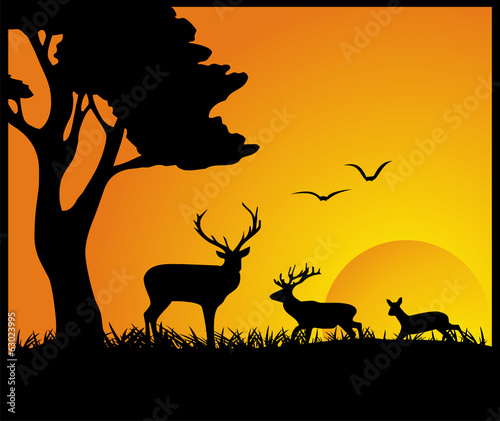 Deer silhouette © viviart