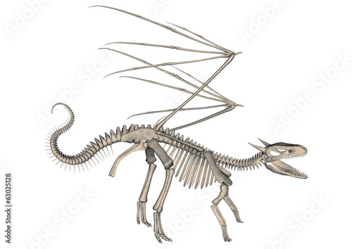 Dragon Skeleton