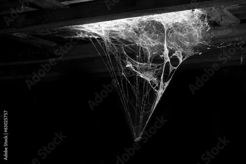 cobweb and dust
