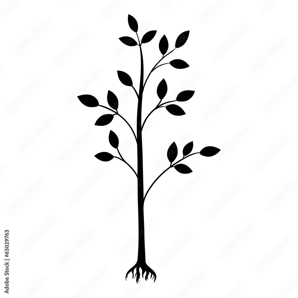 black tree silhouette isolated on white background black tree silhouette isolated on white background