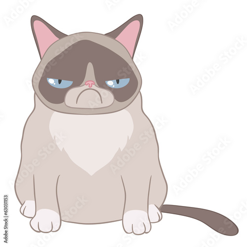 Caricature of an evil cat on a white background
