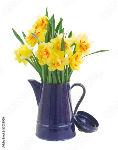 Wallpaper Mural narcissus flowers in blue pot Torontodigital.ca