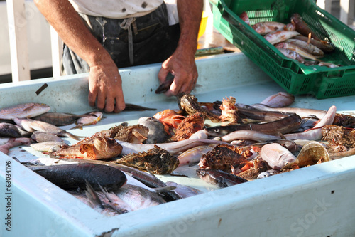 Mercato del pesce Vieux Port Marsiglia photo