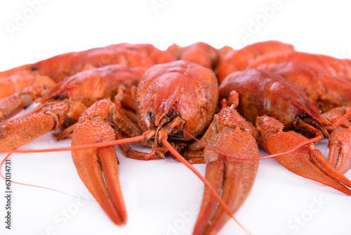 Boiled red crawfishes