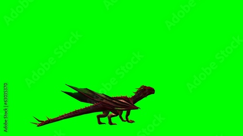 dragon animation - green screen