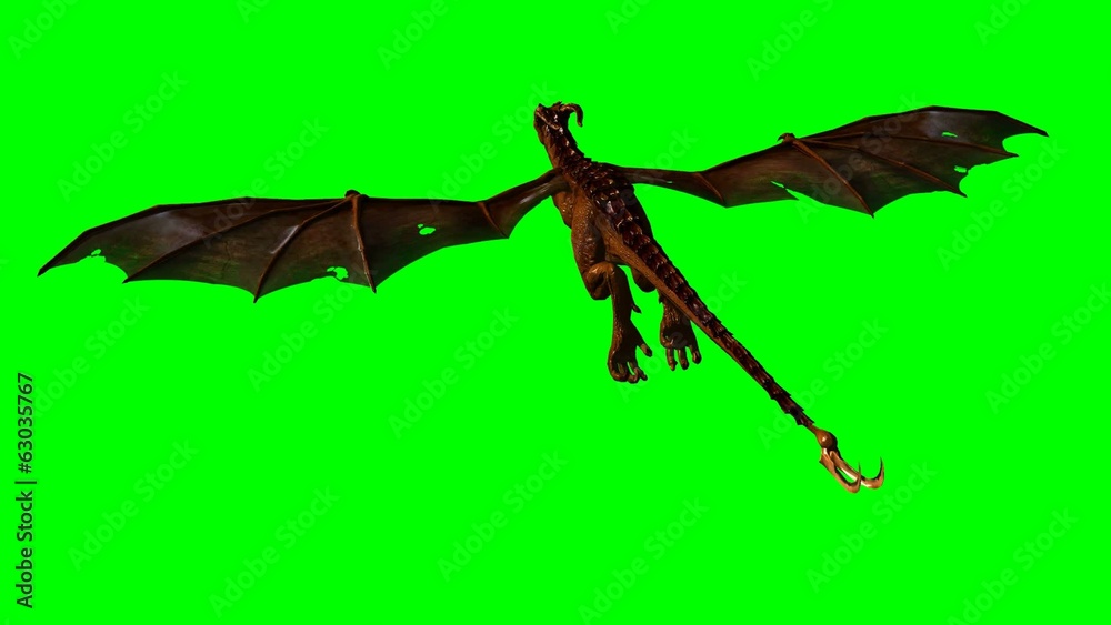 dragon wyvern in the glide - green screen dragon wyvern in the glide - green screen