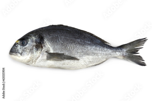 Fresh bream fish isolated photo