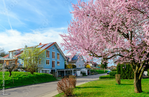 Modern Houses In Spring