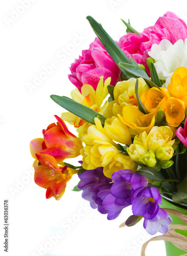 Fototapeta Naklejka Na Ścianę i Meble -  freesia and daffodil  flowers