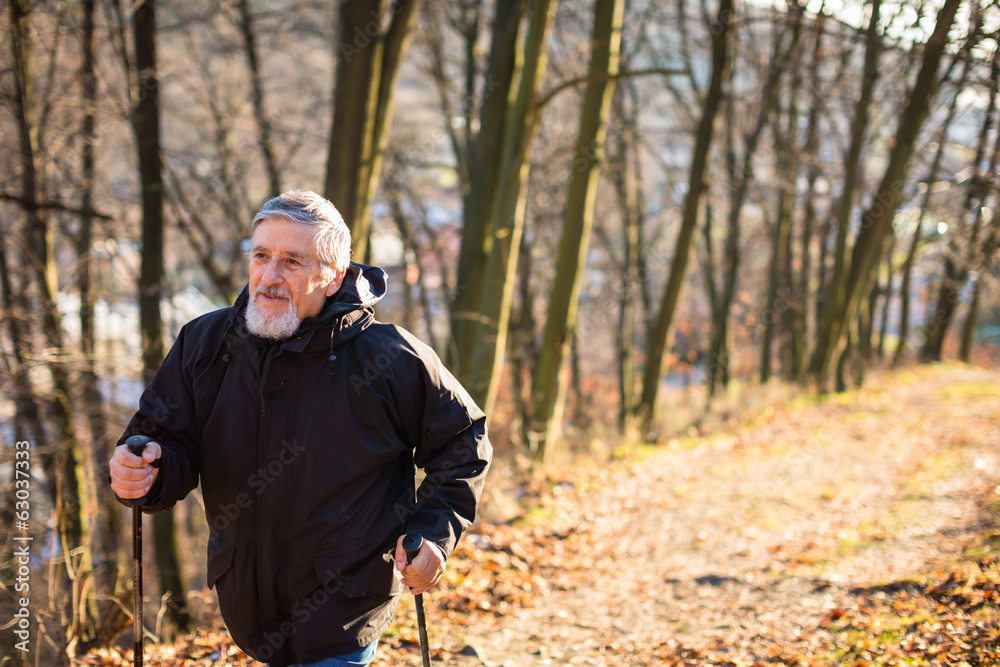 Senior man nordic walking, enjoying the outdoors