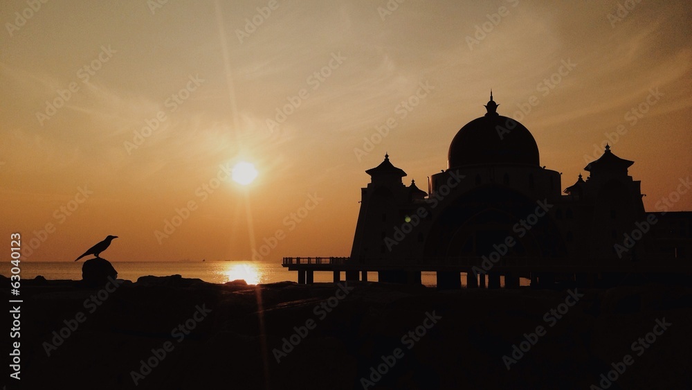 silhouette of a bird with mosque as background