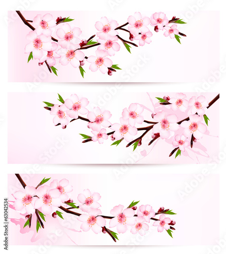 Three sakura branch banners. Vector.