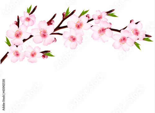 Spring background of a blossoming tree branch with spring flower