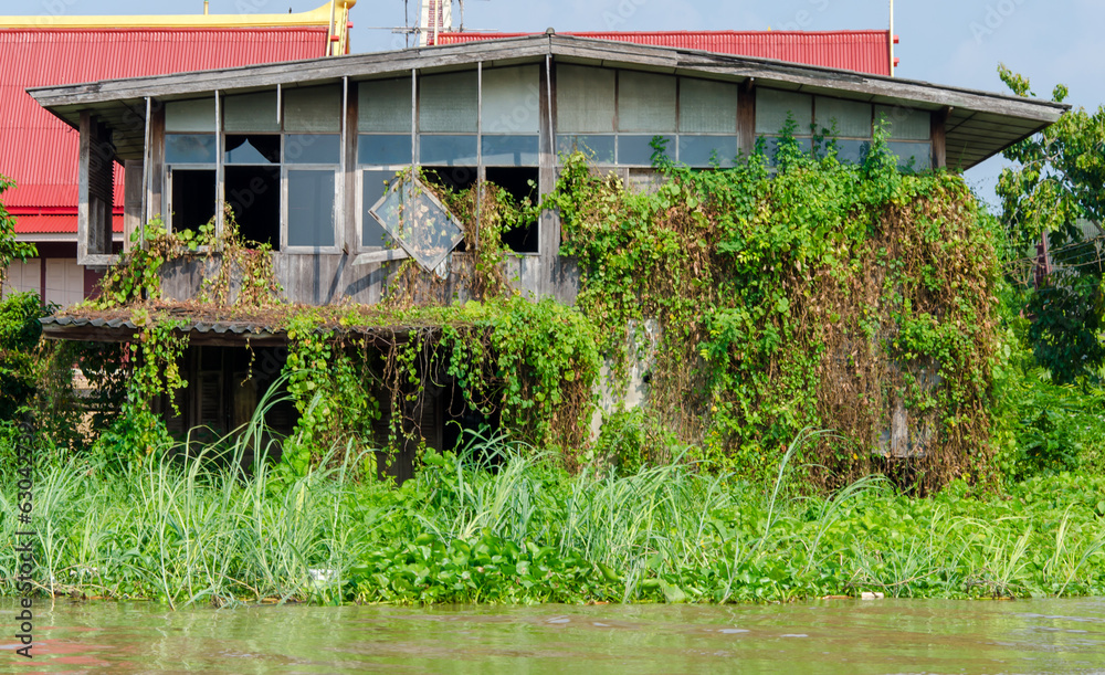 Abandoned house overgrown grass the waterfront Abandoned house overgrown grass the waterfront