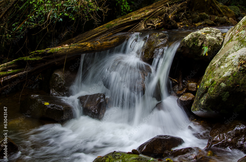 Fototapeta premium Waterfall in deep rain forest jungle