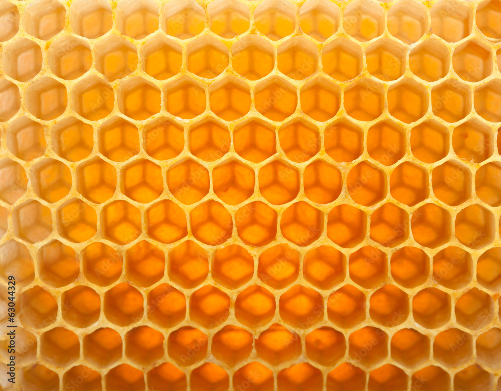 Honey macro in comb texture pattern background.