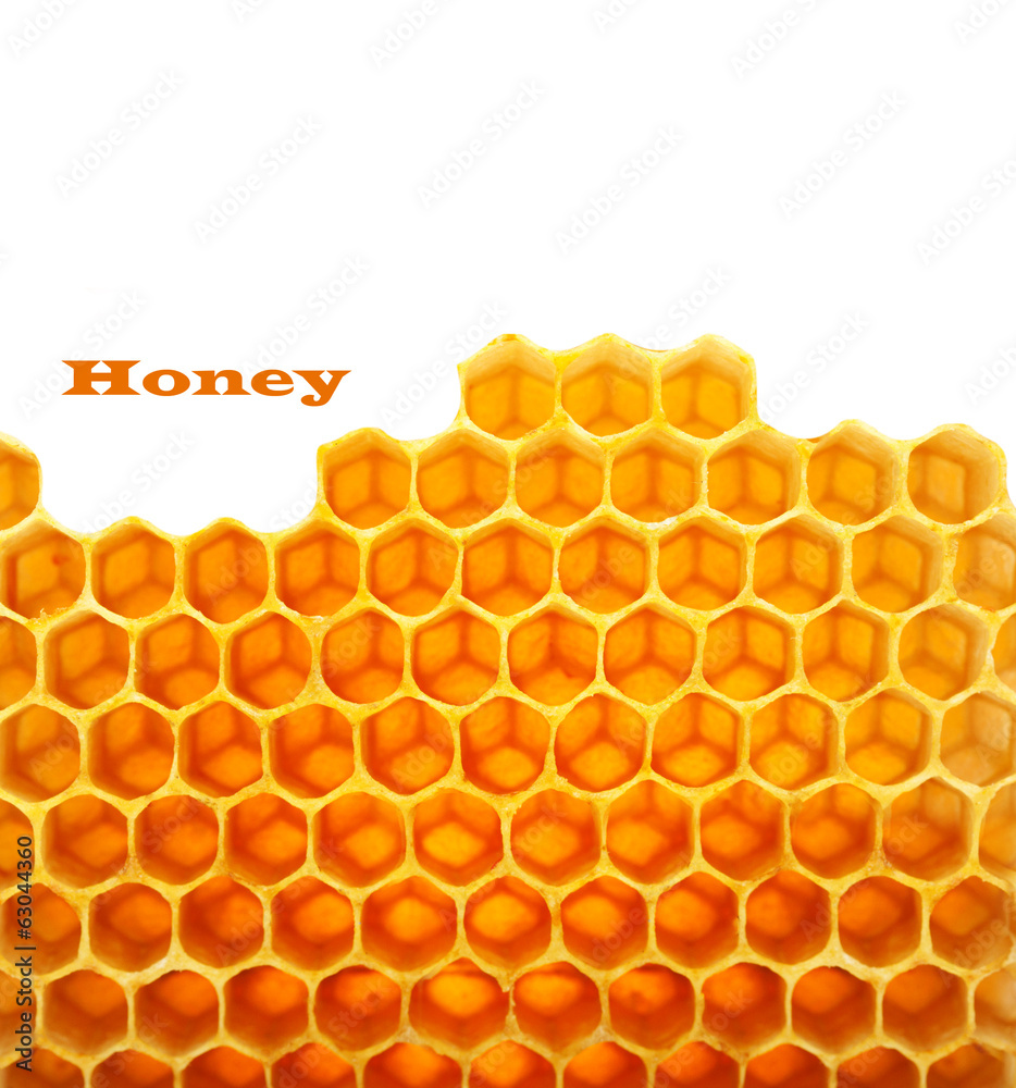Honey macro in comb texture pattern background.