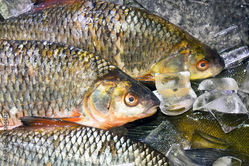 Fish on ice at a market photo