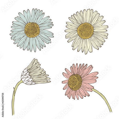 Fototapeta Naklejka Na Ścianę i Meble -  Chamomile retro set 