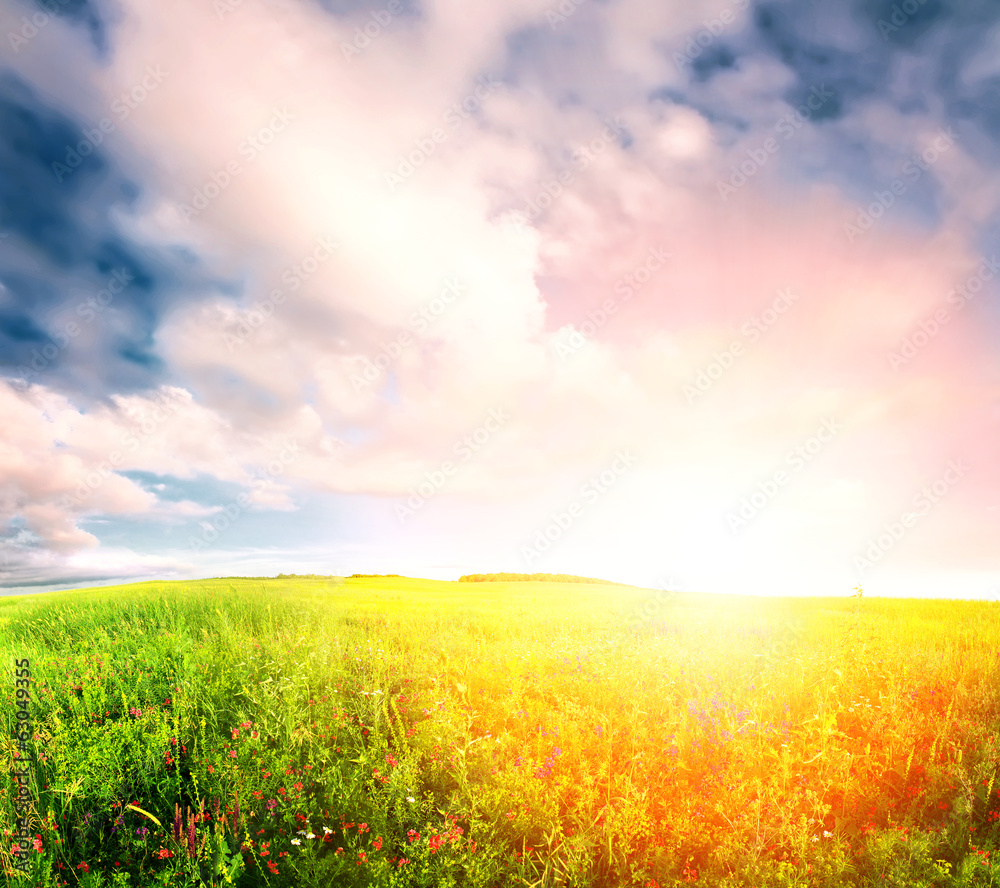 Obraz premium sunset meadow