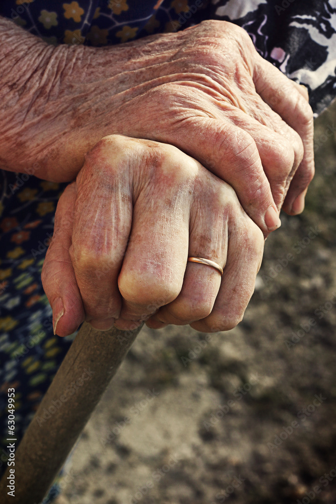 Fototapeta premium Senior's hand on garden tool