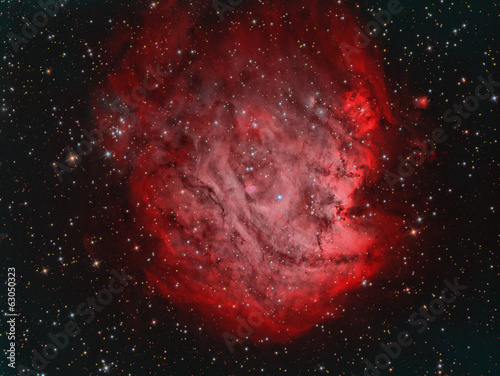 IC2159 Monkey Head Nebula