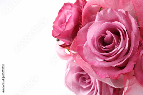 Pink roses