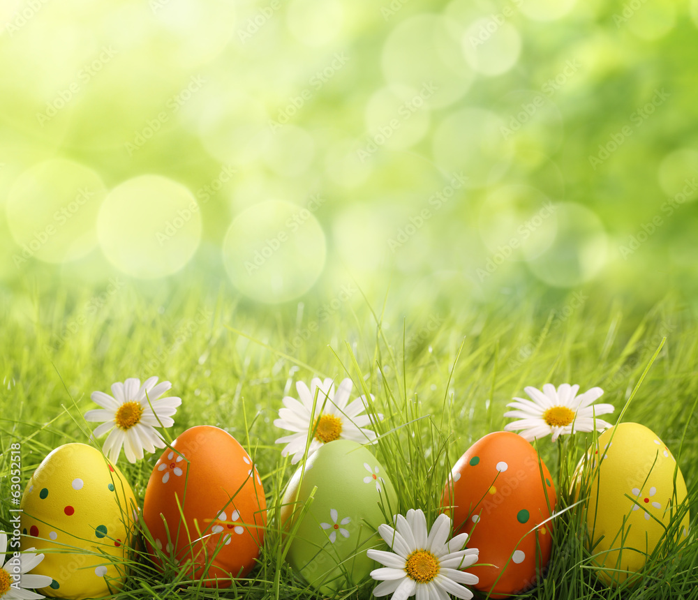 Fototapeta premium Easter eggs in grass