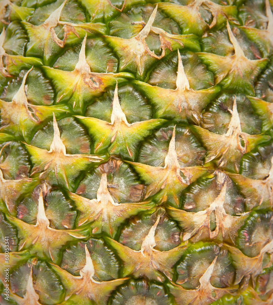 Pineapple Pineapple