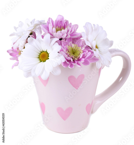 Beautiful chrysanthemum flowers in cup isolated on white