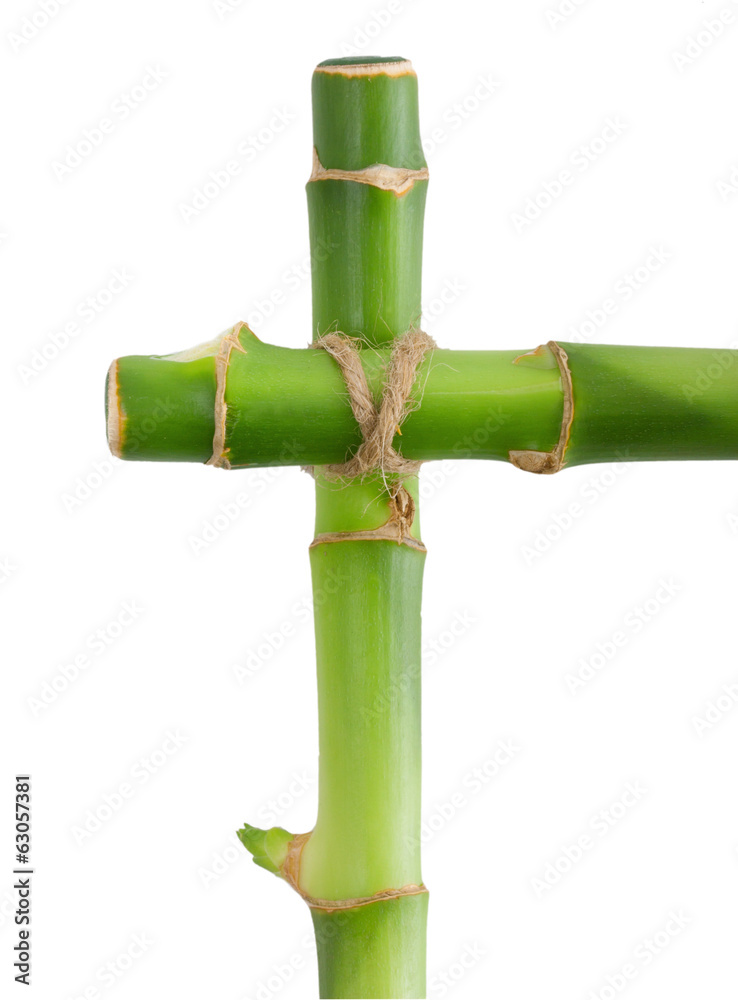 Fototapeta premium Bamboo border made of stems isolated on white background.