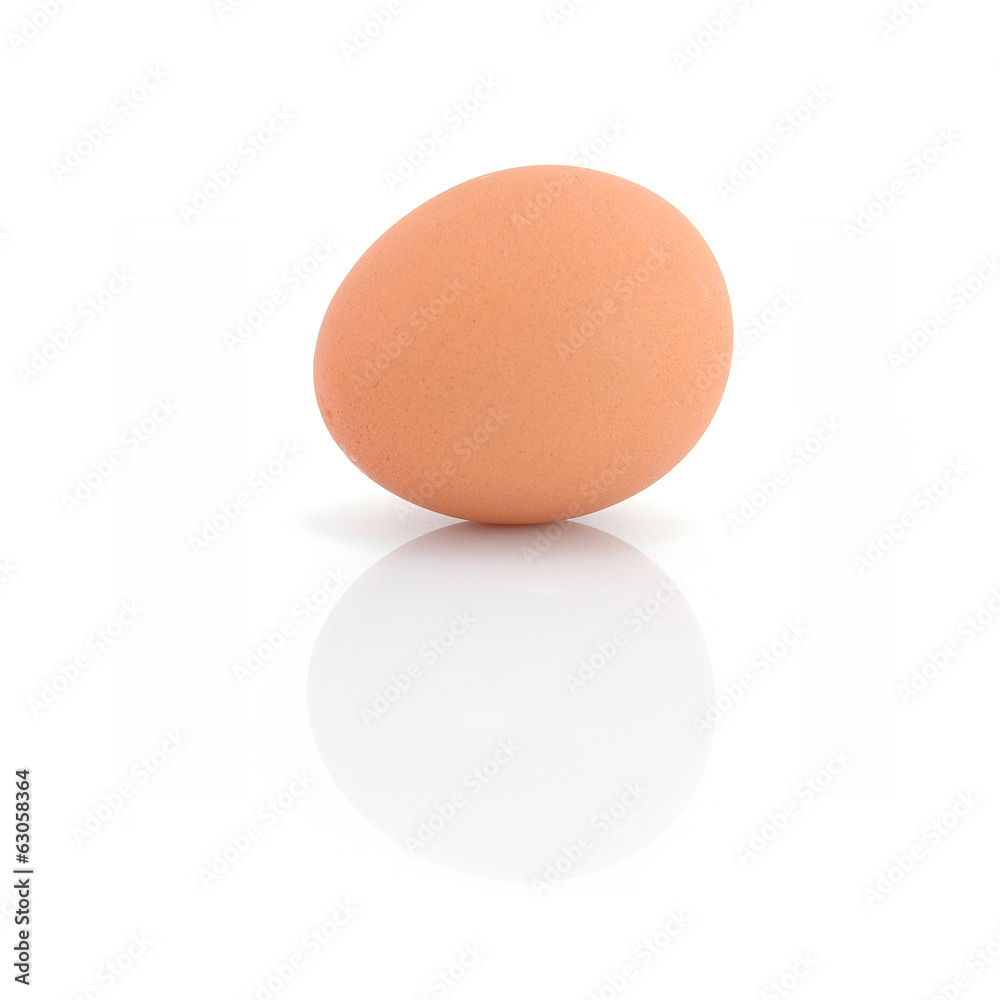 Fototapeta premium chicken egg