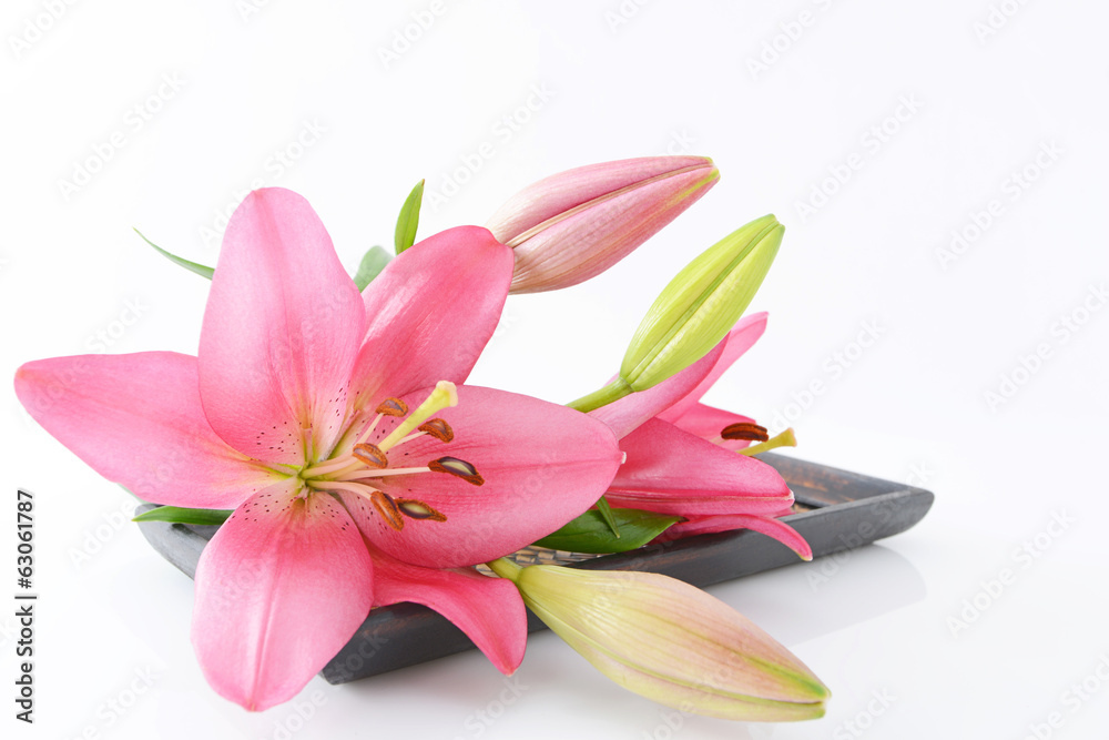 Fototapeta premium ユリの切り花