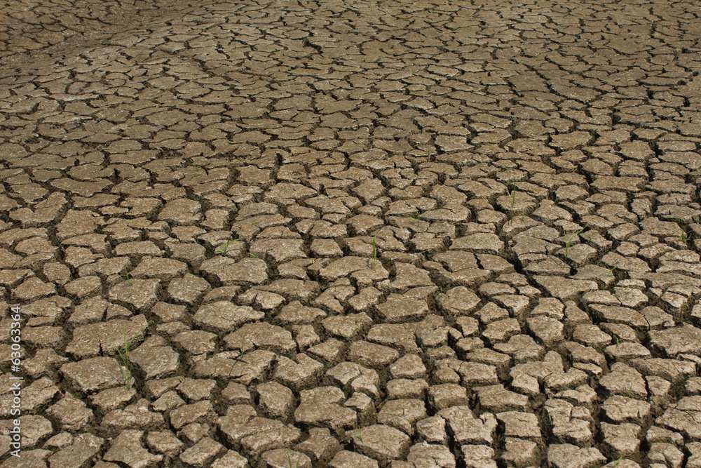 Dry cracked ground filling the frame as background Dry cracked ground filling the frame as background