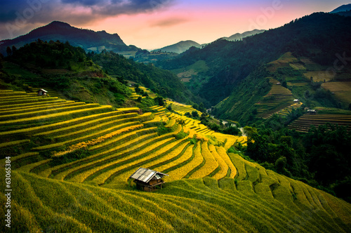 Rice fields on terraced in sunset at Mu Cang Chai, Vietnam © cristaltran