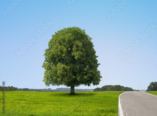 Landstraße im Sommer