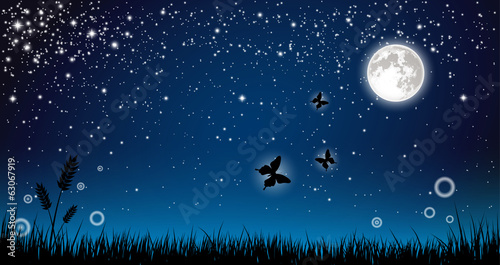 Fairy Night