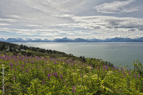 Homer Alaska Volcano View photo